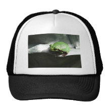 Frog Green Trucker Hat