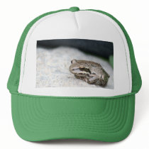 Frog!