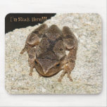 frog, I'm Stuck Here!!!, Photo by: TEYoung mousepads