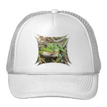 Frog Images Baseball Cap Mesh Hat
