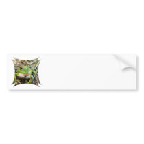 Frog Images Bumper Sticker