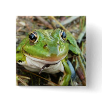 Frog Images Square Pin