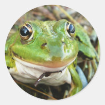 Frog Images Sticker