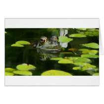 Frog in a Lily Pond Cards