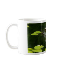 Frog in a Lily Pond Coffee Mugs