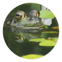 Frog in a Lily Pond Round Sticker