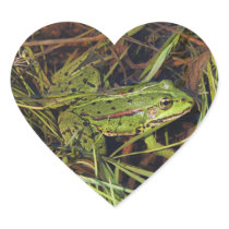 Frog in river stickers