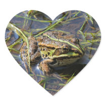 Frog in river stickers