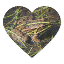 Frog in river stickers