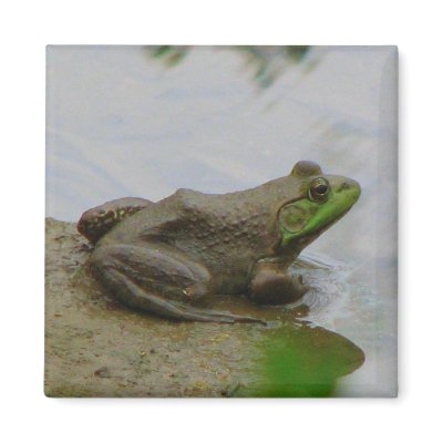Frog in the Mud Magnets by princessklb07