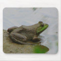 Frog in the Mud mousepads
