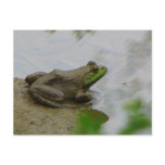 Frog in the Mud postcards