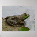 Frog in the Mud posters