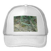 Frog in the Reeds Mesh Hat