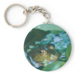 FROG KEYCHAIN