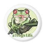frog_life_zazzle1 magnets
