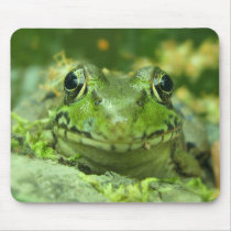 Frog Lover's Mousepad