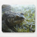 frog mousepads