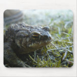 frog mousepads