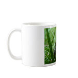 Frog mugs