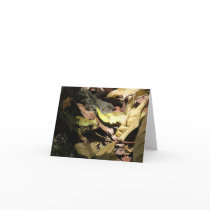 Frog Notecards