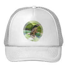 Frog On Back Baseball Hat