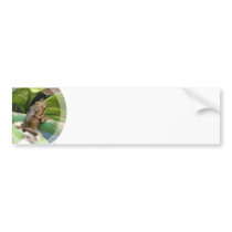 Frog On Back Bumper Sticker