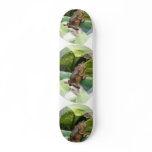Frog On Back Skateboard