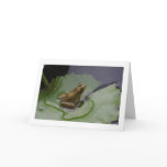 Frog on Lily Pad cards