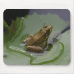 Frog on Lily Pad Mouse Mat