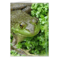 Frog on Marsh Greeting Card