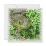 Frog on Marsh Invitation