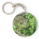 Frog on Marsh Keychain