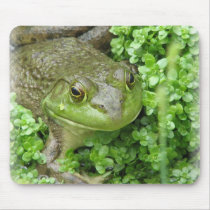 Frog on Marsh Mouse Pad