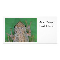 Frog Photo Personalized Photo Card