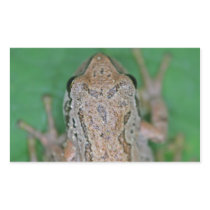 Frog Photo Rectangular Sticker
