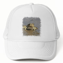 Frog Photograph Baseball Hat