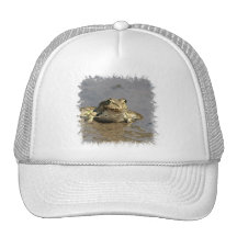 Frog Photograph Baseball Hat