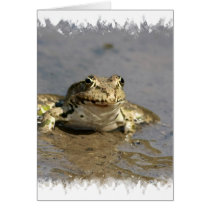 Frog Photograph Greeting Card