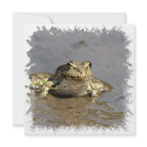 Frog Photograph Invitation