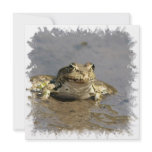 Frog Photograph Invitation