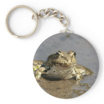 Frog Photograph Keychain