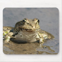 Frog Photograph Mouse Pad