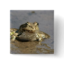 Frog Photograph Square Pin