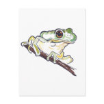 Frog Post Card postcards