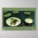 Frog posters