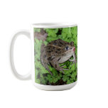 Frog Prince mugs