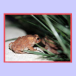 Frog Print posters