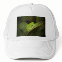Frog Reflections Baseball Hat