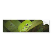 Frog Reflections Bumper Sticker
